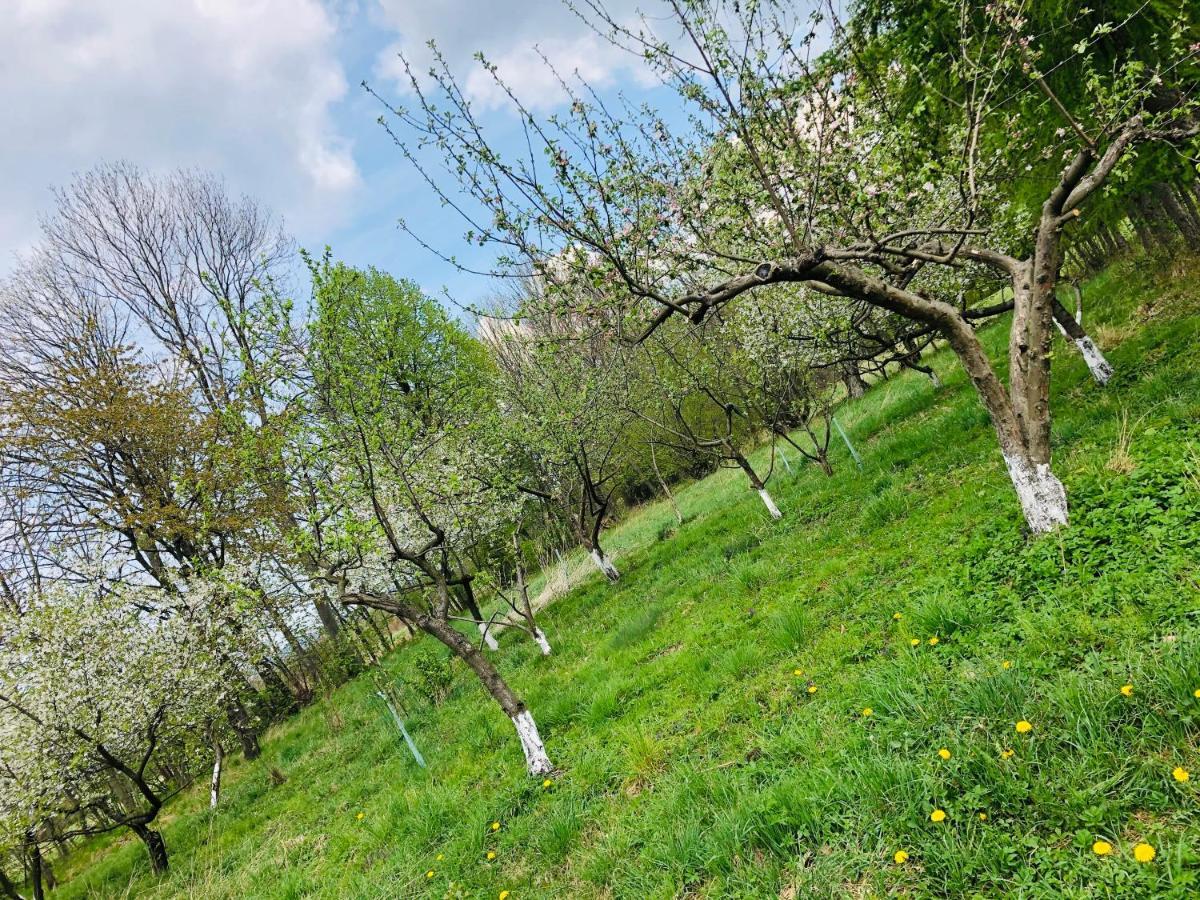 U Strazaka Farm stay *
